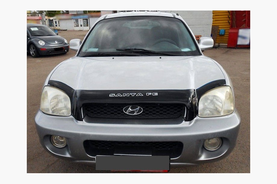 Hyundai Santa Fe 1 2000–2006 Motorhjelmsdeflektor (VIP) Image
