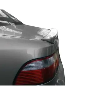 Anatomik spoiler (til lakering) foto 1