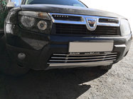 Renault Duster 2008–2017 Hel nedre grill i rustfrit stål foto 1