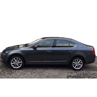Komplet vindueskromliste (10 stk., rustfrit stål) Skoda Octavia III A7 2013–2019 foto 1