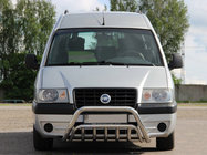 Citroen Jumpy 1996–2007 Kængurugitter WT002 (rustfrit stål) foto 1