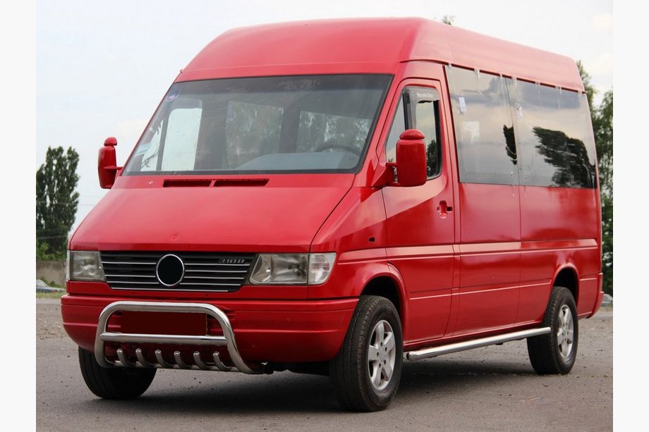 Mercedes Sprinter W901/902/903/904/905 1995–2006 Kængurugitter WT008 (rustfrit stål) Image
