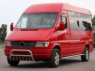 Mercedes Sprinter W901/902/903/904/905 1995–2006 Kængurugitter WT008 (rustfrit stål) foto 1