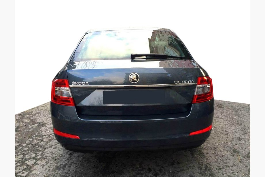 Skoda Octavia III A7 2013–2019 Kromliste over nummerpladen (rustfrit stål) Image