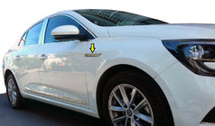 Renault Megane IV 2016–2025 Skærmkapper 2016-2020 (rustfrit stål) foto 1