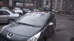 Peugeot 3008 2008–2016 Tagrælinger Skyport Grey foto 5