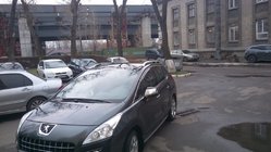 Peugeot 3008 2008–2016 Tagrælinger Skyport Grey foto 6