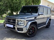 Mercedes G-Klasse W463 1990–2018 Frontbøjle (AMG) foto 1