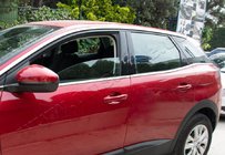 Citroen C5 Aircross 2017–2025 Nedre vindueslister (8 stk., rustfrit stål) foto 1