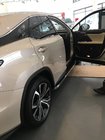 Lexus RX 2016–2022 Sidetrin BlackLine (2 stk.) foto 1