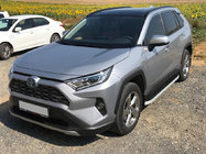 Toyota Rav 4 2019–2025 Sidetrin Tayga Grey (2 stk., aluminium) foto 1