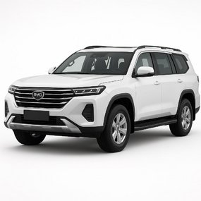 Tuning til BYD Leopard 8