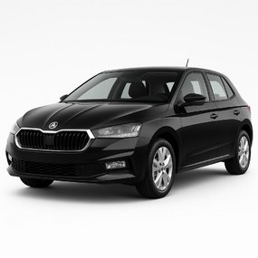 Tuning til Skoda Fabia 2021-