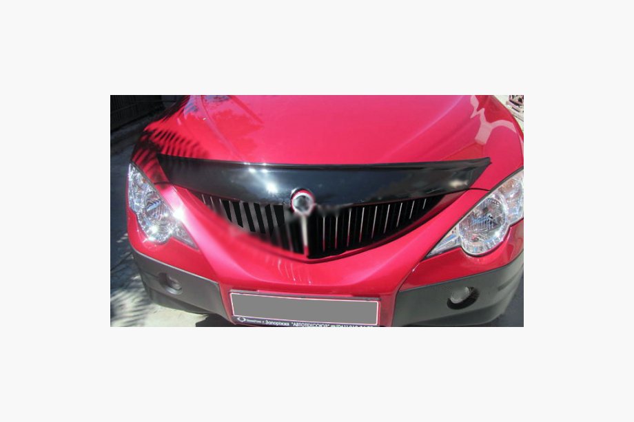 SsangYong Action 2005–2018 Stenslagsbeskytter til motorhjelm (Korea) Image