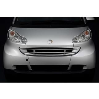 Frontgitterbeskytter Smart 2007–2014 foto 1
