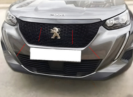 Peugeot 2008 2019– Grillramme (3 stk., rustfrit stål) foto 1