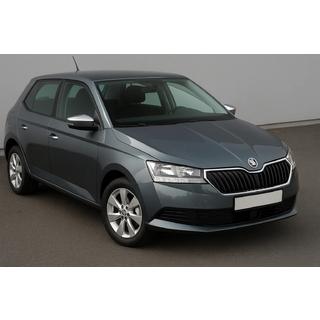 Spejldæksler i rustfrit stål med udskæring til blinklys (2 stk.) Skoda Fabia 2014–2021 foto 1