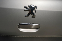 Peugeot 307 2001–2008 Kromdæksel til bagklapgreb (rustfrit stål) foto 1