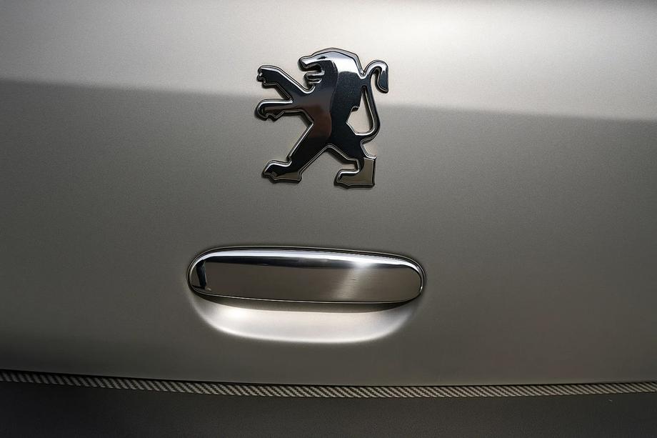 Peugeot 307 2001–2008 Kromdæksel til bagklapgreb (rustfrit stål) Image