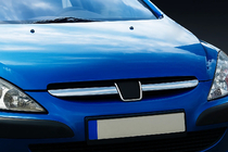 Peugeot 307 2001–2008 Kølergitterlister (2001-2005, 2 stk., rustfrit stål) foto 1