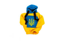 Gearstangsovertræk hoodie (Ukraine) foto 5