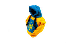 Gearstangsovertræk hoodie (Ukraine) foto 6