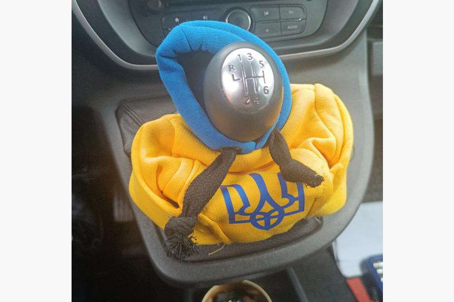 Gearstangsovertræk hoodie (Ukraine) Foto 4