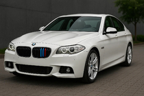 BMW 5-serie F10/F11 2010–2016 Gitterindsatser 2010-2013 (3 stk.) foto 1