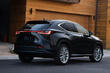 Test af anden generation af crossoveren Lexus NX foto 2