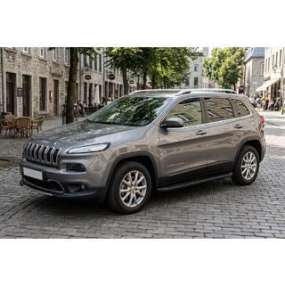 Sidetrin Tayga Black (2 stk., aluminium) foto 1