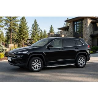 BlackLine sidetrin (2 stk., aluminium) foto 1