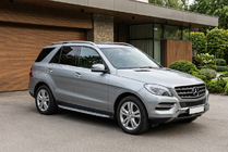 Mercedes GLE/ML Klasse W166 2011–2018 Sidetrin Shining V1 (2 stk., aluminium) foto 1