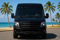 Mercedes Sprinter W906 2006–2018 Exclusive grill 2013-2018 (til lakering) foto 4