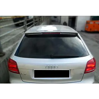 Spoiler DPT V-3 (blank sort) foto 1