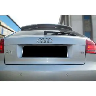Spoiler DPT V-3 (blank sort) foto 3