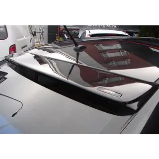 DPT bagrudespoiler (SD, til lakering) foto 1