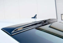 Skoda Superb 2015–2024 DPT V-1 spoiler (2015-2019, blank sort) foto 1