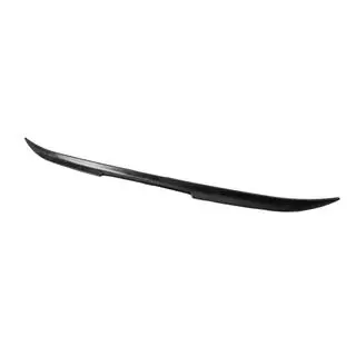 Universal spoiler DPT V-2 (ABS, blank sort) foto 3