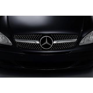 Frontgrill Diamond Silver (2004-2010) foto 2