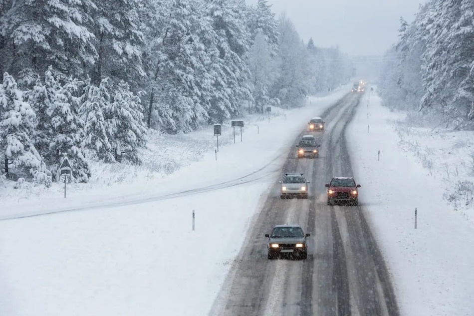 Hvilken drivlinje er bedst til vinterkørsel?