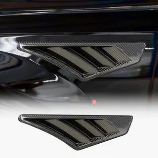 Skærmkåber (2019-2022, Dry Carbon) foto 1