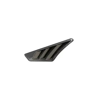 Skærmkåber (2019-2022, Dry Carbon) foto 2