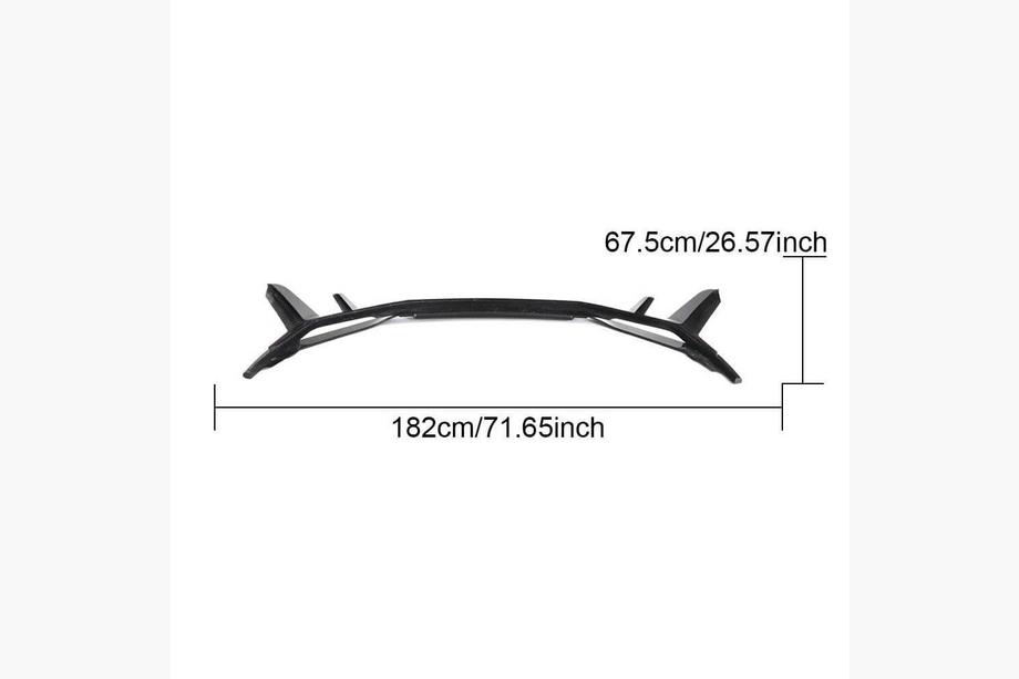 Audi R8 2015– Front bumper lipspoiler Lip V1 (2023+, Carbon) Foto 11
