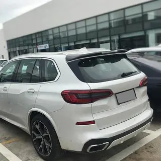 Bagrudespoiler V1 (naturcarbon) foto 3