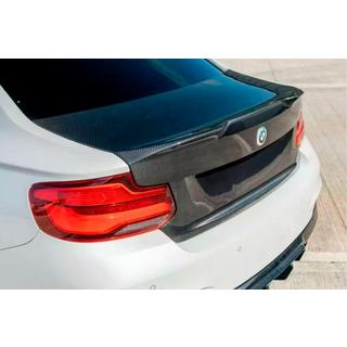 Bagklap i carbon (til F87) foto 1