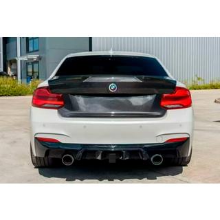 Bagklap i carbon (til F87) foto 2