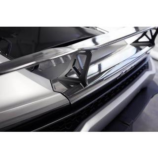 Spoiler (carbon) foto 2