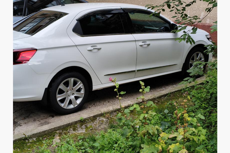 Citroen C-Elysee 2013–2022 Vindueslister (rustfrit stål) Image