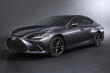 Lexus ES: anmeldelse af business class-sedan foto 4