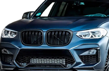 BMW X4 G02 2018– Kidney-grill M-Look (2018-2021, mat sort) foto 1